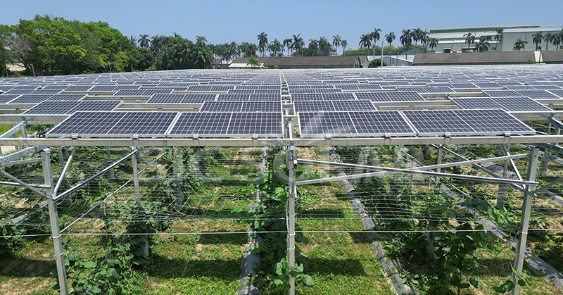 Meneroka saiz ideal ladang solar: perspektif terkini pada 2024